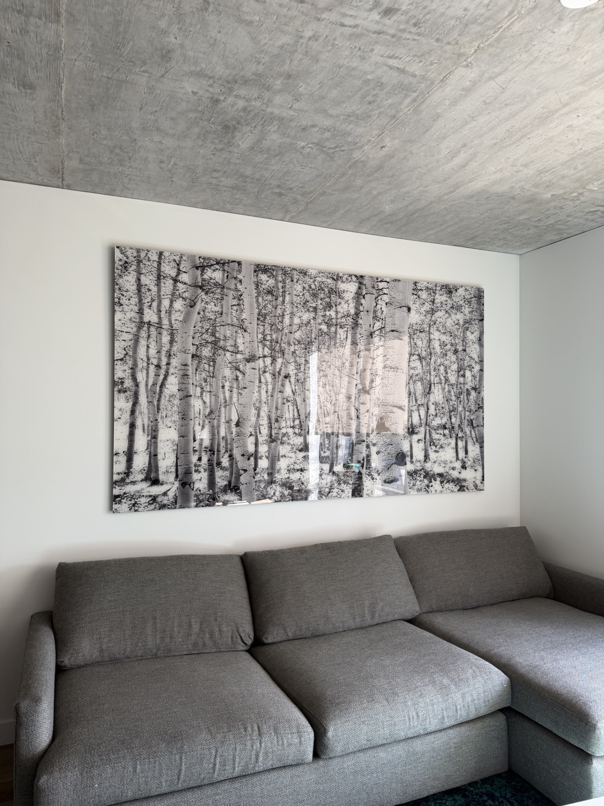 Completed art installation by ORLEG Mounting Services
