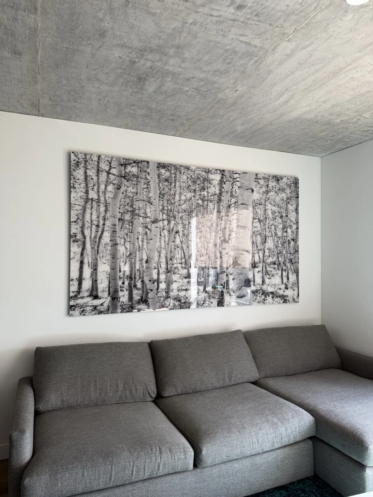 Completed art installation by ORLEG Mounting Services