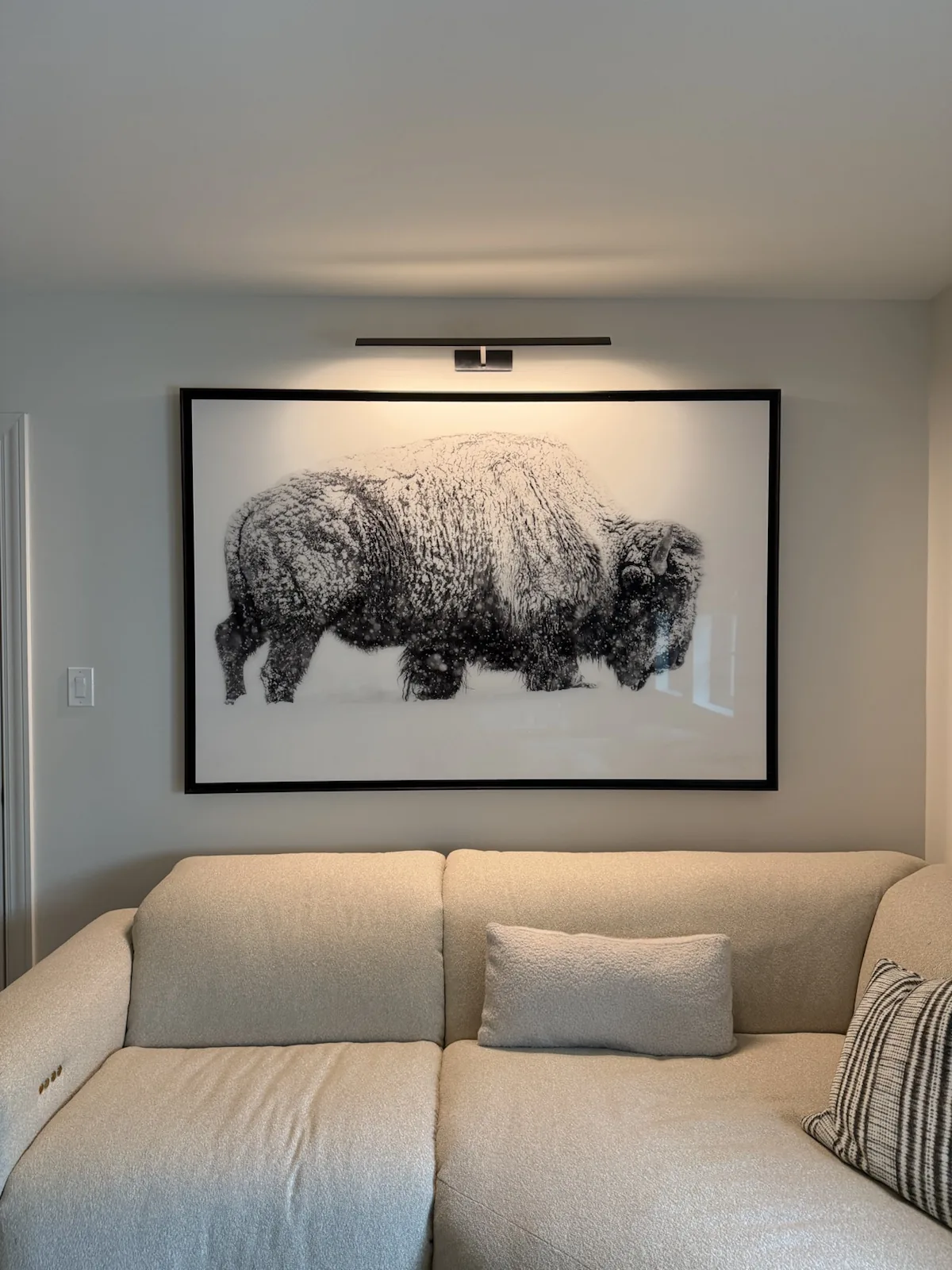 Completed art installation by ORLEG Mounting Services
