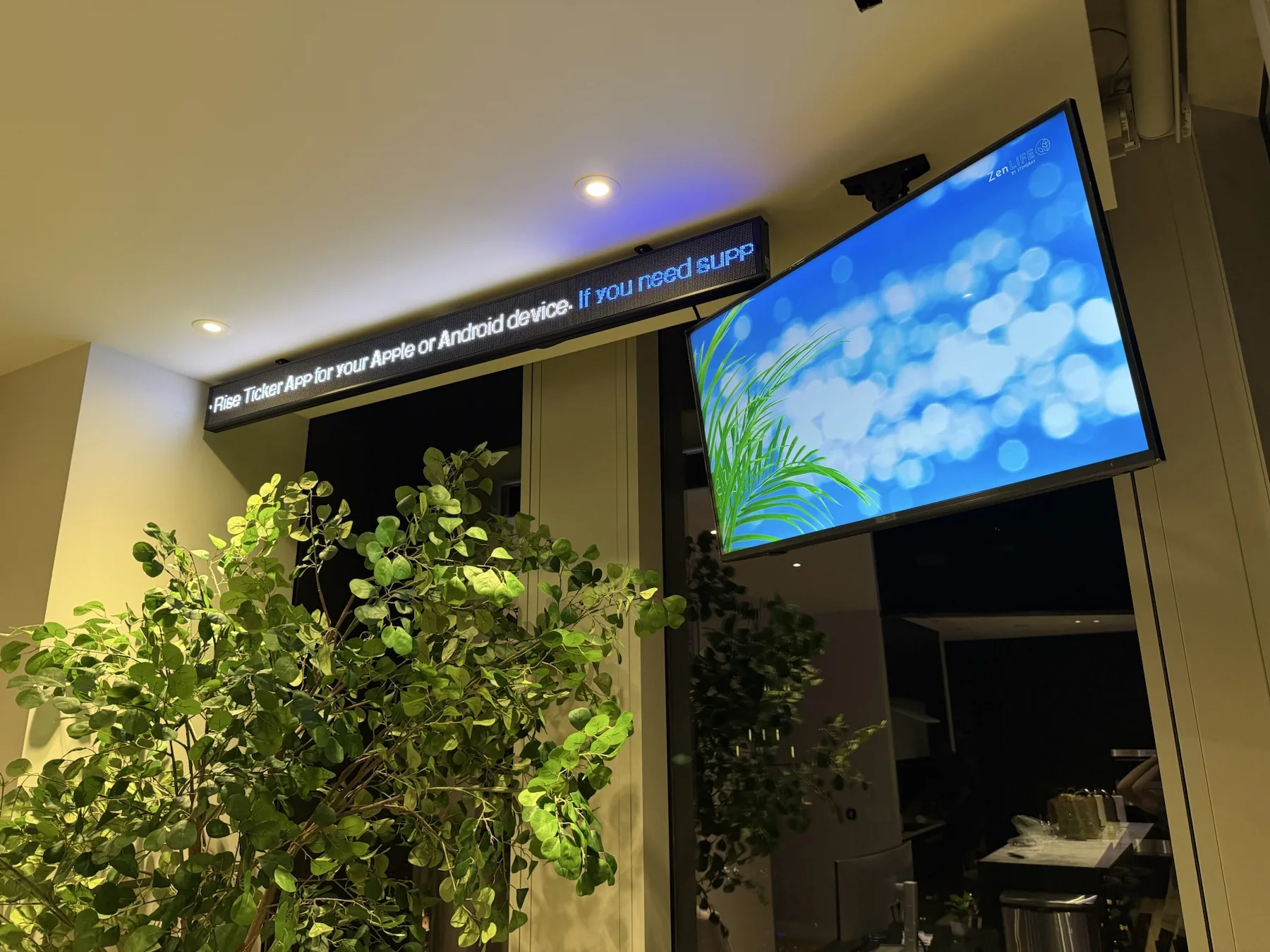 Completed TV installation by ORLEG Mounting Services